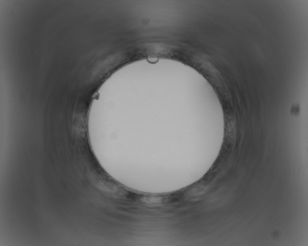 X0000092070419200710101023