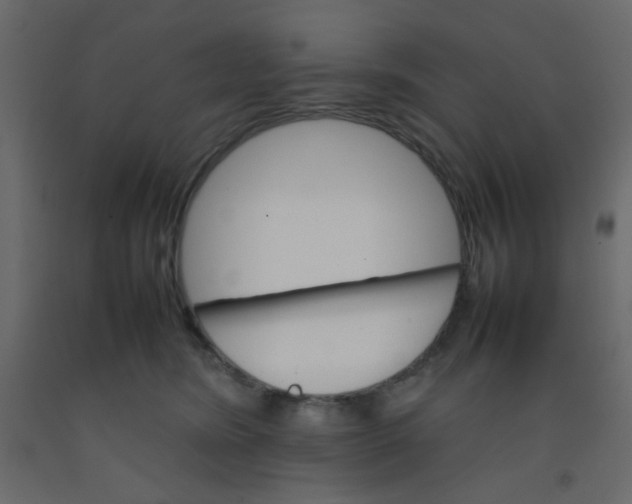 X0000092070420200710101023