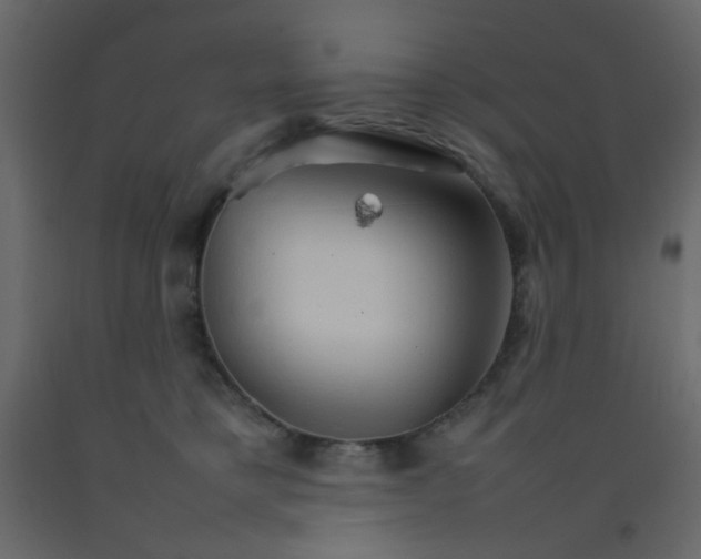 X0000092070421200710101023