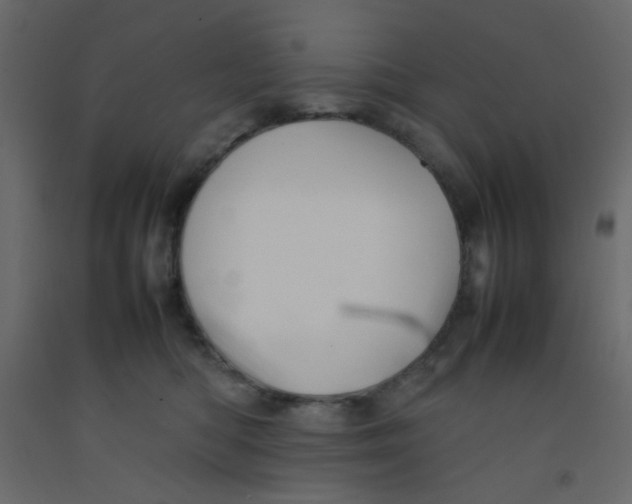X0000092070422200710101023