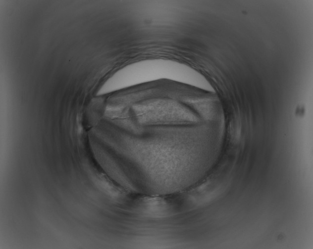 X0000092070424200710101023