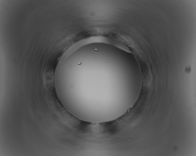 X0000092070425200710101023