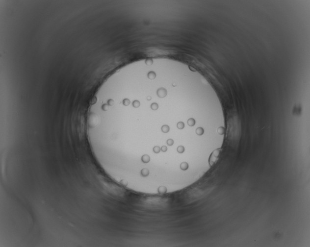 X0000092070426200710101023