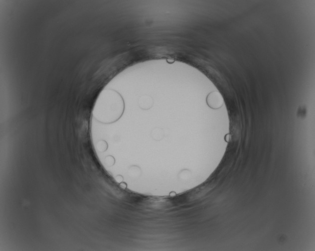 X0000092070427200710101023