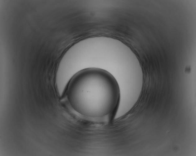 X0000092070428200710101023