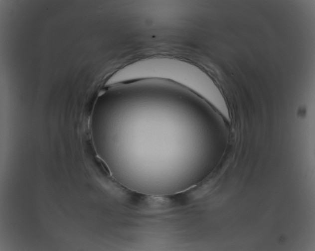 X0000092070429200710101023