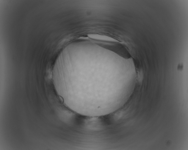 X0000092070431200710101023
