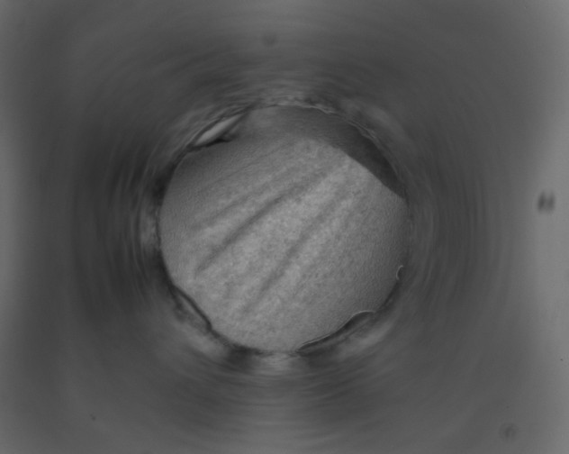 X0000092070432200710101023