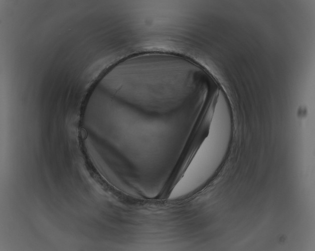X0000092070434200710101022