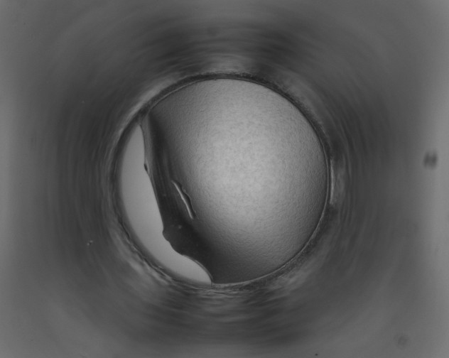 X0000092070435200710101022