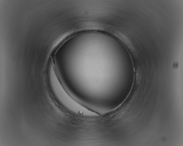 X0000092070436200710101022