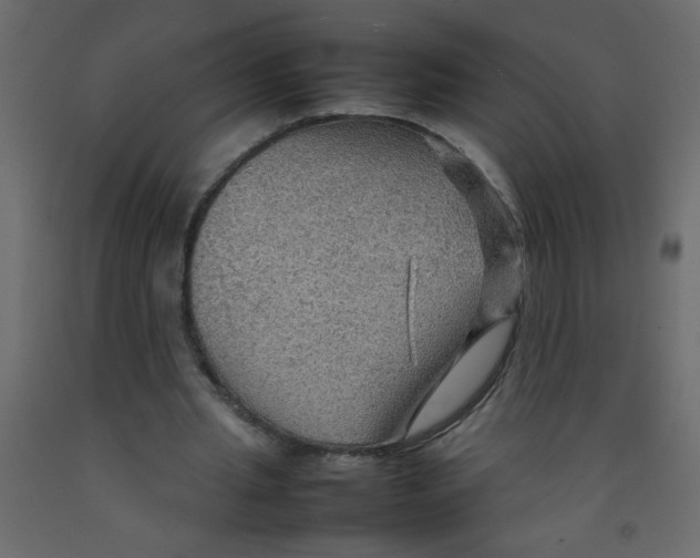 X0000092070437200710101022