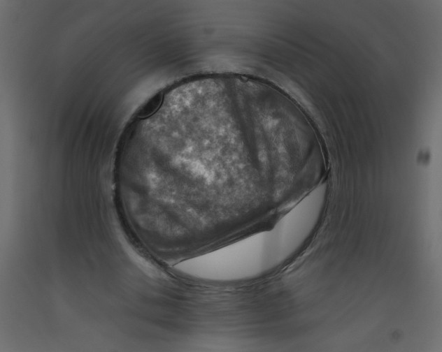 X0000092070438200710101022