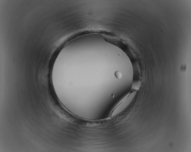 X0000092070440200710101022