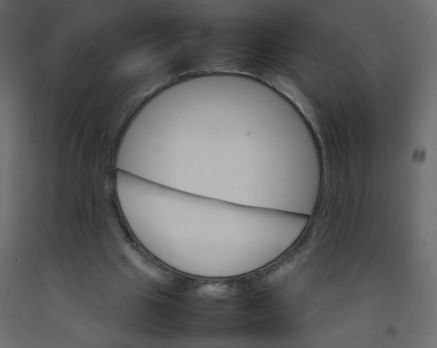 X0000092070441200710101022
