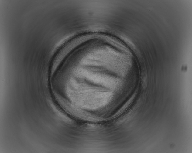 X0000092070442200710101022