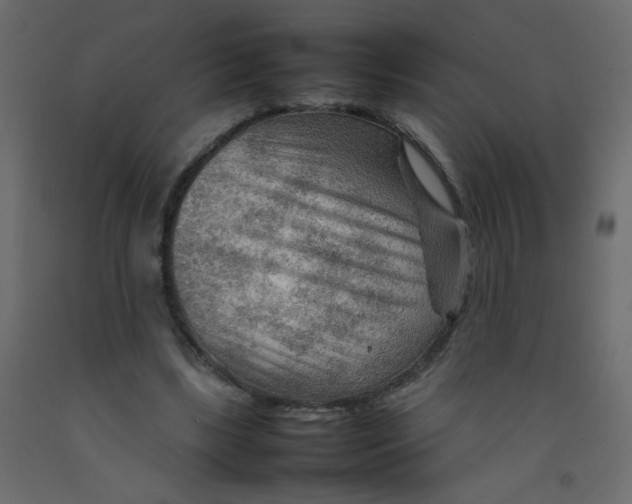 X0000092070443200710101022