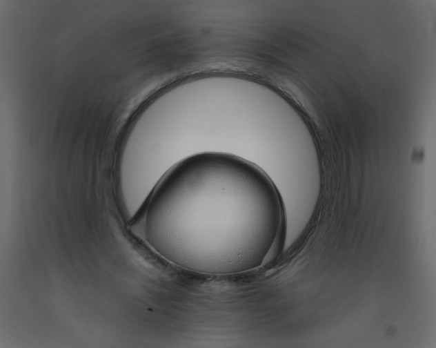 X0000092070444200710101022
