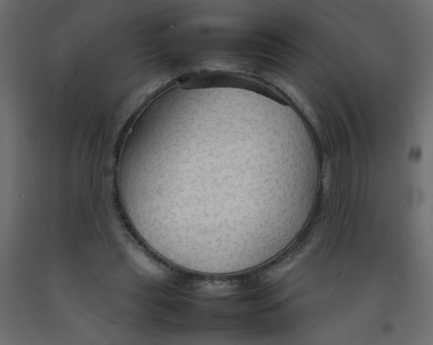 X0000092070445200710101022
