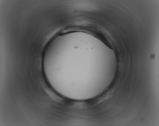 X0000092070446200710101022