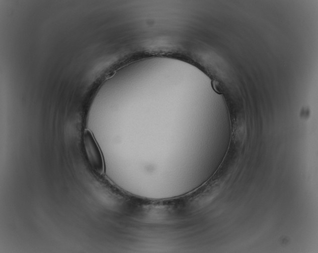 X0000092070448200710101022