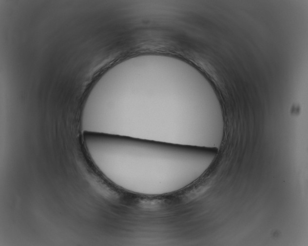 X0000092070450200710101022