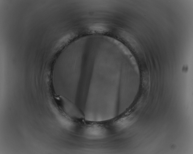 X0000092070451200710101022