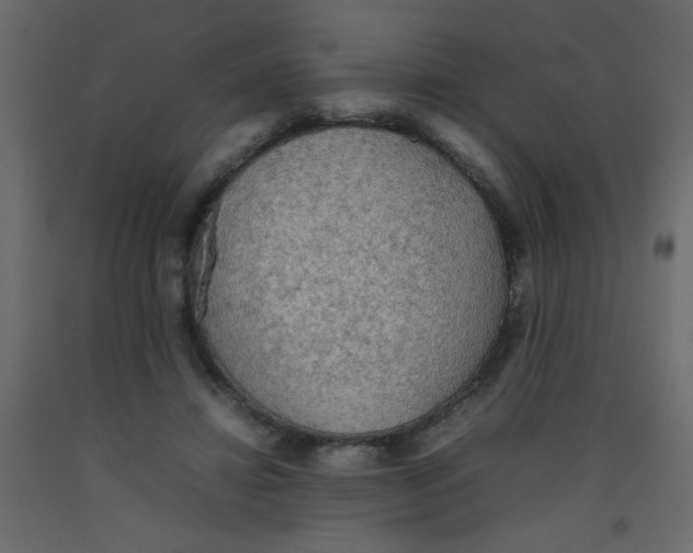 X0000092070452200710101022