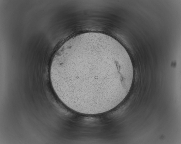 X0000092070453200710101022