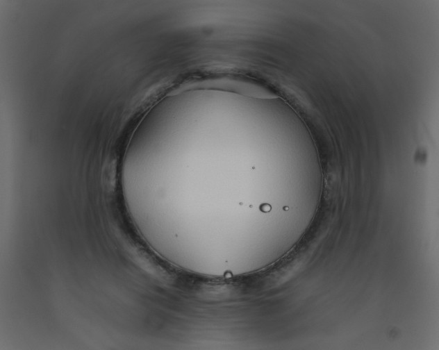 X0000092070454200710101022