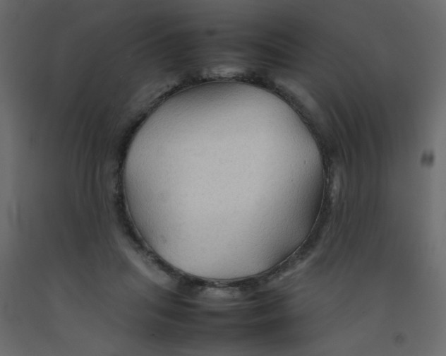 X0000092070455200710101022
