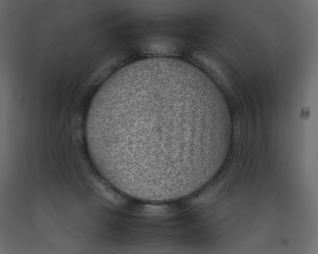 X0000092070457200710101022
