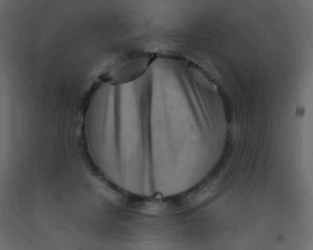 X0000092070458200710101022