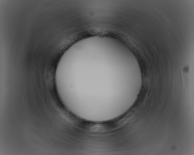 X0000092070460200710101022
