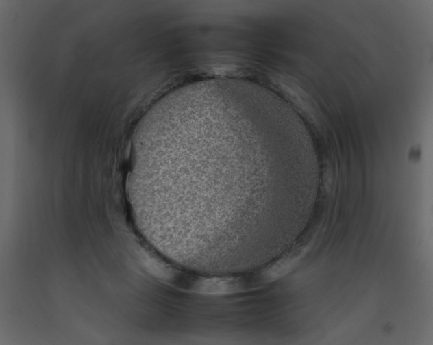 X0000092070461200710101022