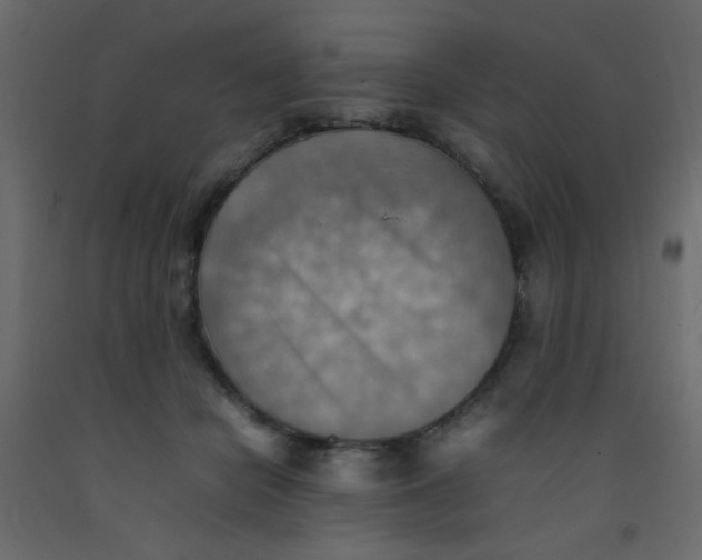 X0000092070462200710101022