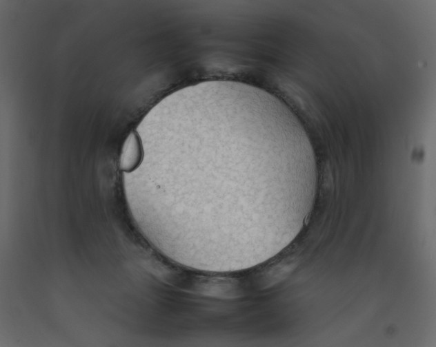 X0000092070463200710101022