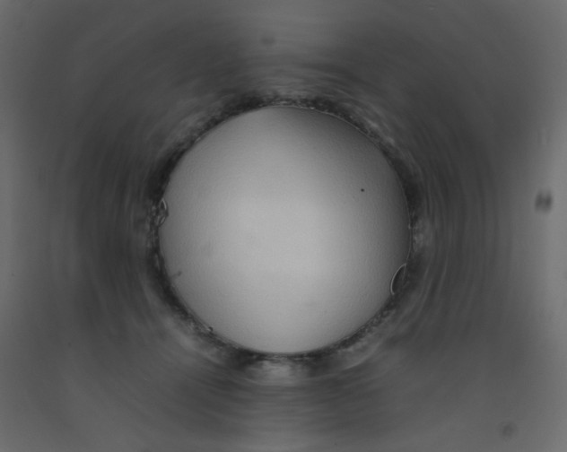 X0000092070464200710101022