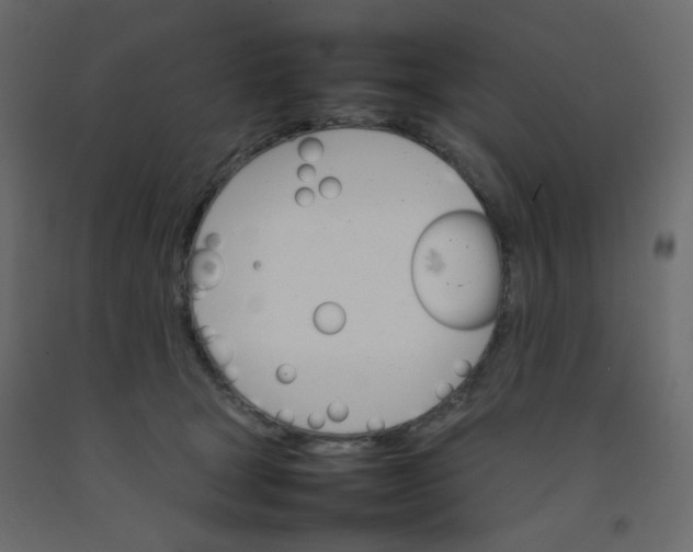 X0000092070465200710101022