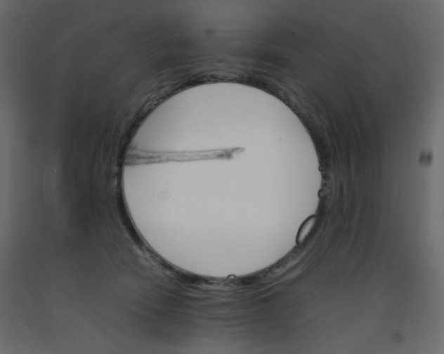 X0000092070466200710101022