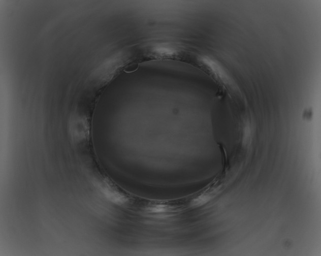 X0000092070467200710101022