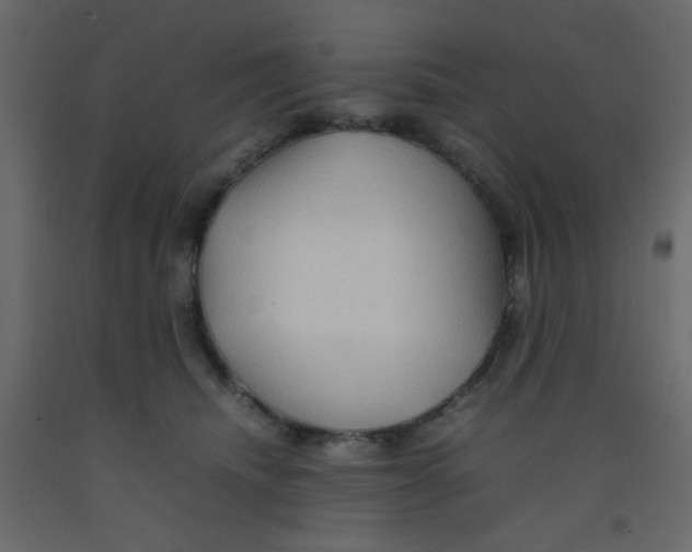 X0000092070468200710101022