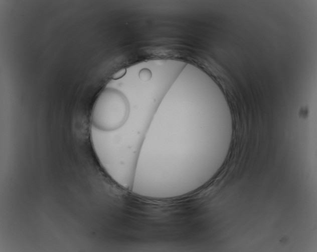 X0000092070469200710101022