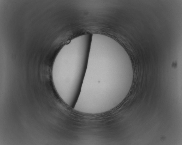 X0000092070470200710101022