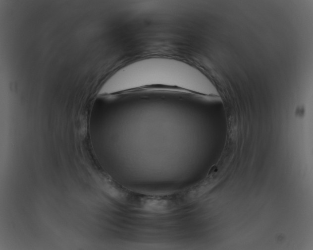 X0000092070471200710101022