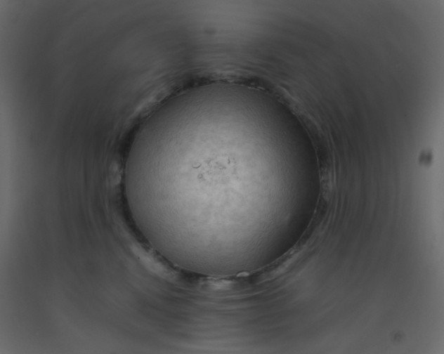 X0000092070472200710101022