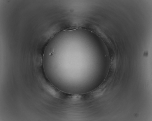 X0000092070474200710101022