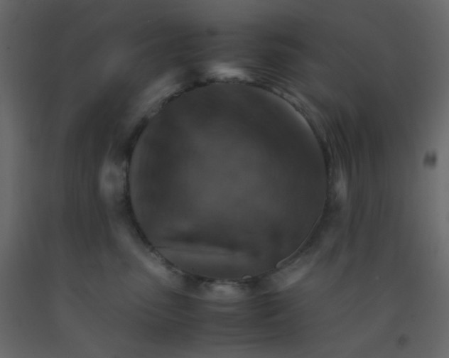 X0000092070475200710101022