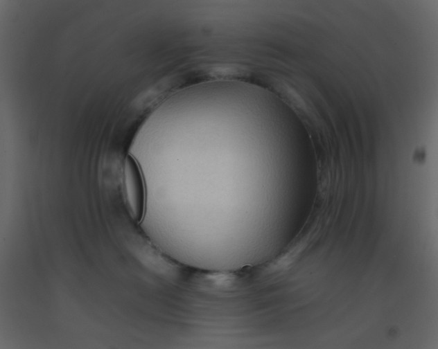 X0000092070478200710101023