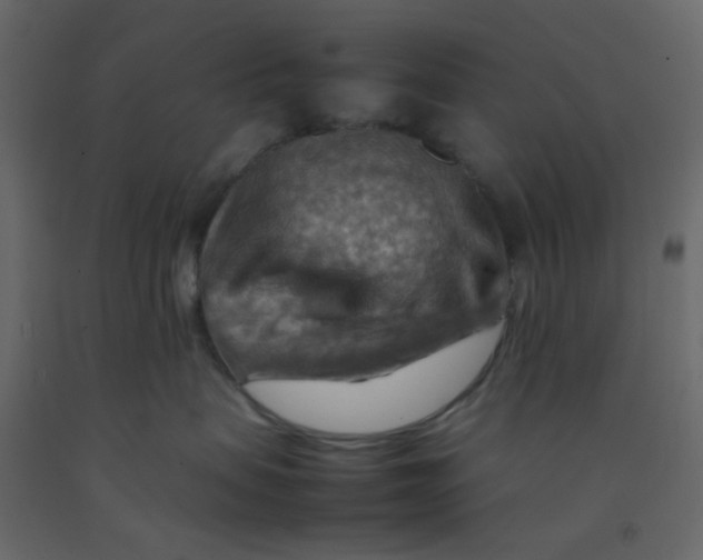 X0000092070479200710101023